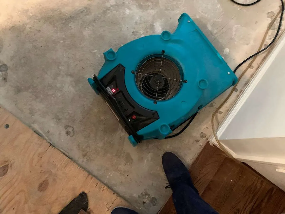 Air mover drying subfloor during Commercial Water Damage Restoration in Shelton